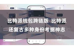 比特派钱包跨链版  比特派还复古多种身份考据神志