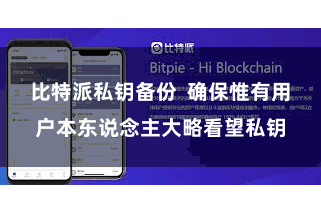 比特派私钥备份  确保惟有用户本东说念主大略看望私钥